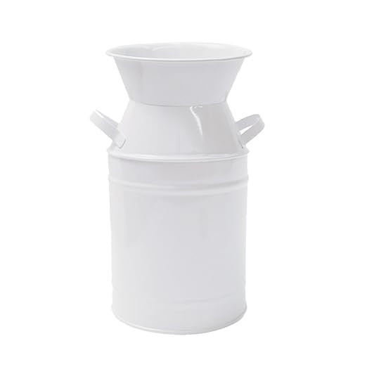 Watering Honey Elegant White Small Primitive Jug Vase Galvanized Milk Can for Home Office Decor | Amazon (US)