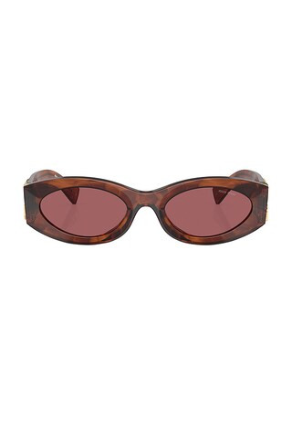 Miu Miu Oval Sunglasses in Striped Tobacco from Revolve.com | Revolve Clothing (Global)