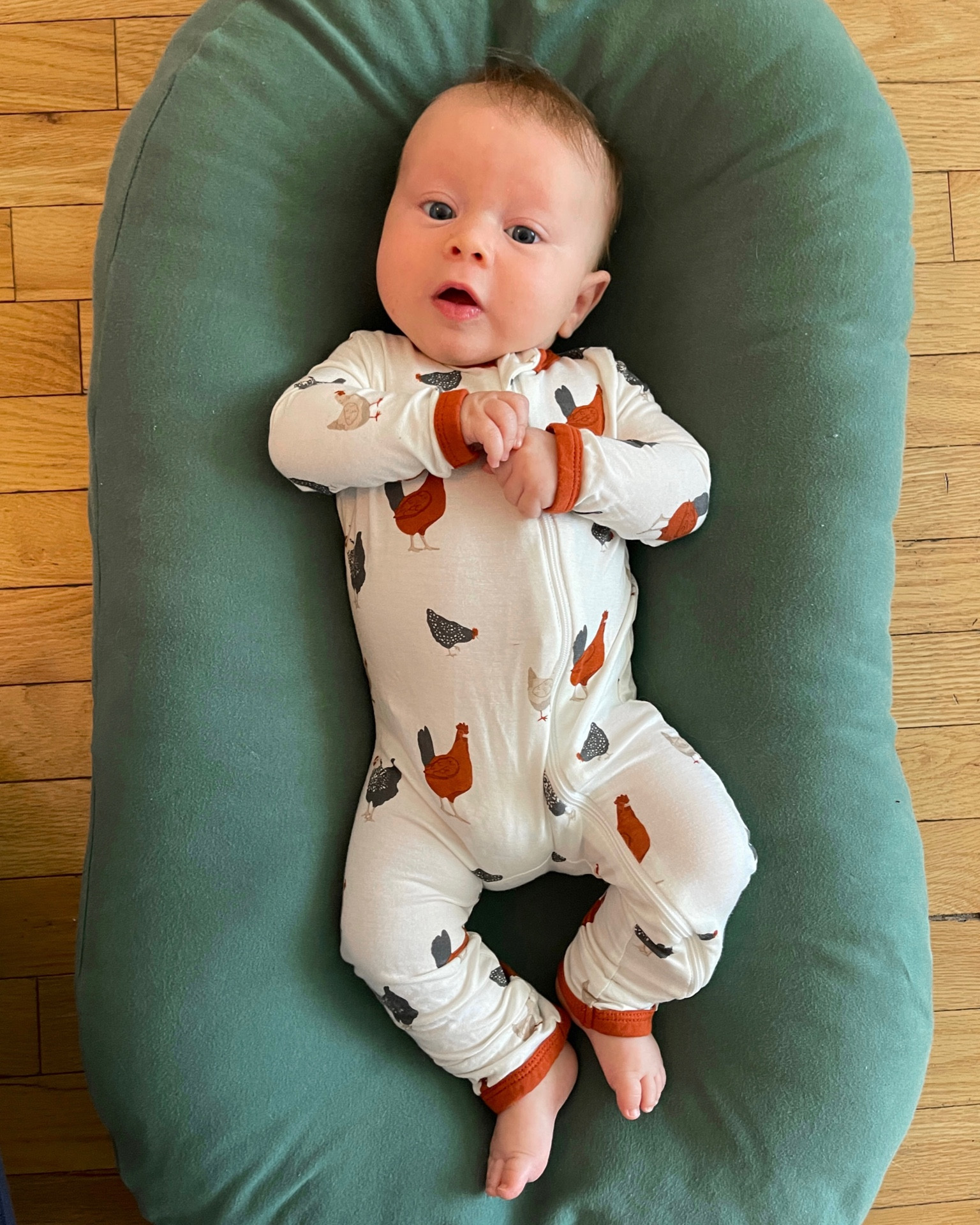 Kyte baby romper - new print - chicks! 🐓🐣 the softest fabric and grows with your baby for SO long! 
.
.
;


Baby outfit - fall baby - chicken print - baby boy 

#LTKfamily #LTKunder100 #LTKbaby