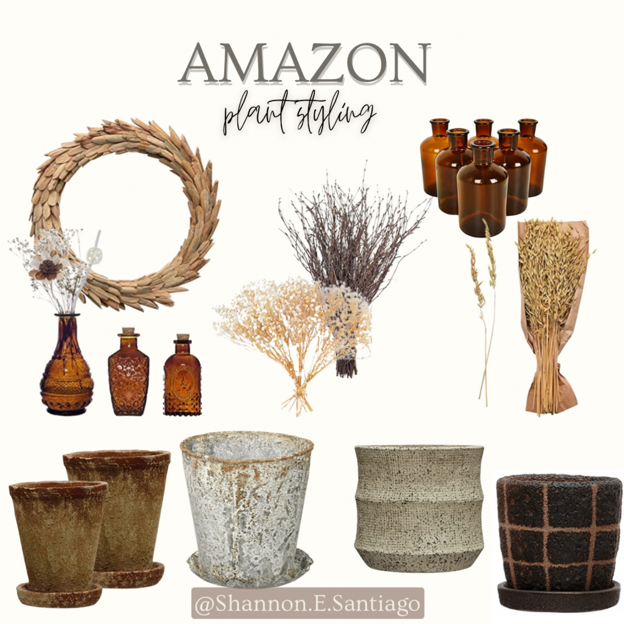 Plant styling for fall and winter 

#LTKhome #LTKstyletip #LTKunder50