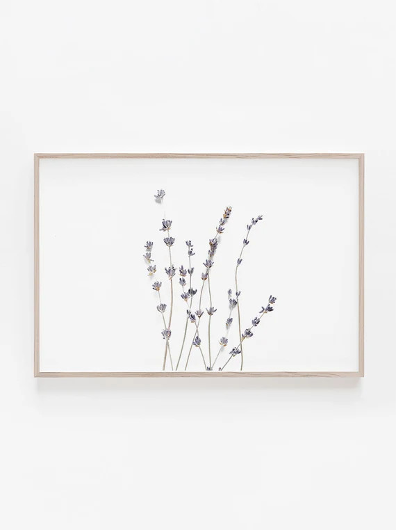 Lavender PrintHorizontal PrintBotanical Wall ArtBotanical | Etsy | Etsy (CAD)