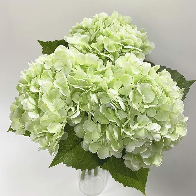 YalzoneMet 3 Pcs 21In Artificial Light Green Hydrangea Natural Lifelike Real Touch Faux Large Roy... | Amazon (US)