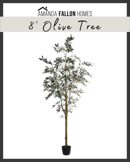 Amazing sale on this 8’ olive tree! 

Faux tree.

#target #targethome 

#LTKhome #LTKsalealert