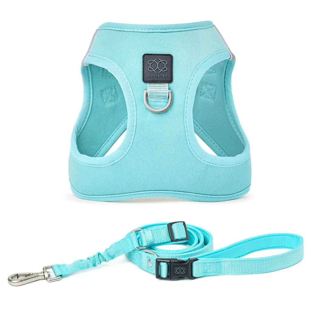 City Leash Set - Fifth Avenue | DOGISTRY