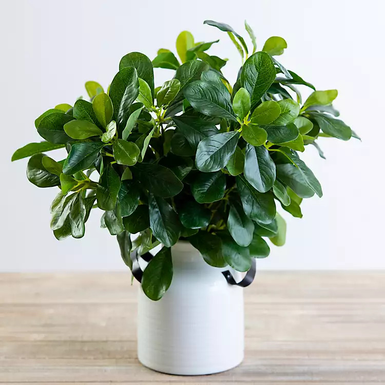 Mixed Greenery Arrangement in Cream Metal Pot | Kirkland's Home