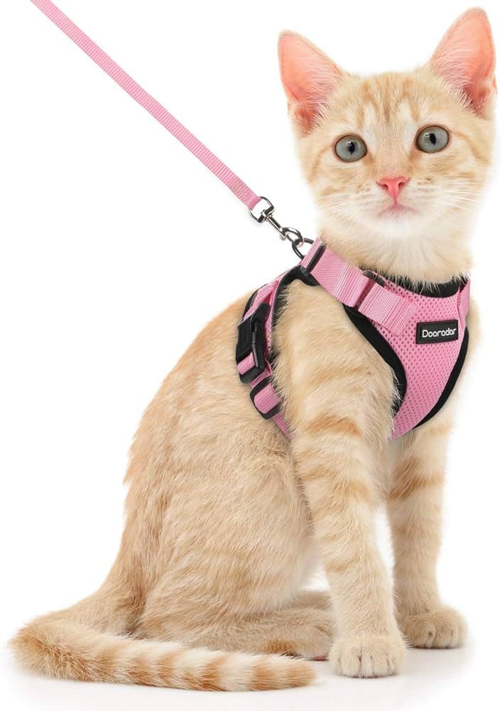 Dooradar Cat Harness and Leash Set, Escape Proof Safe Adjustable Kitten Vest Harnesses for Walkin... | Amazon (US)
