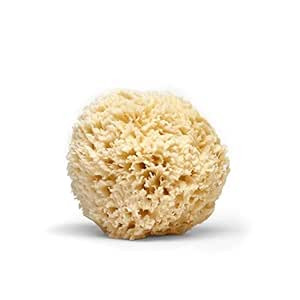 LATHER Natural Sea Wool Sponge | Self Care | Shower and Bath Sponge | Natural Loofah | Sea Sponge... | Amazon (US)