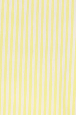 The Livia Tunic in Lemon Drop & Brule Stripe | Revolve Clothing (Global)