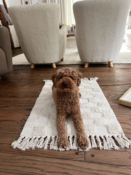 This cute checkered rug comes in multiple sizes! 

#LTKhome