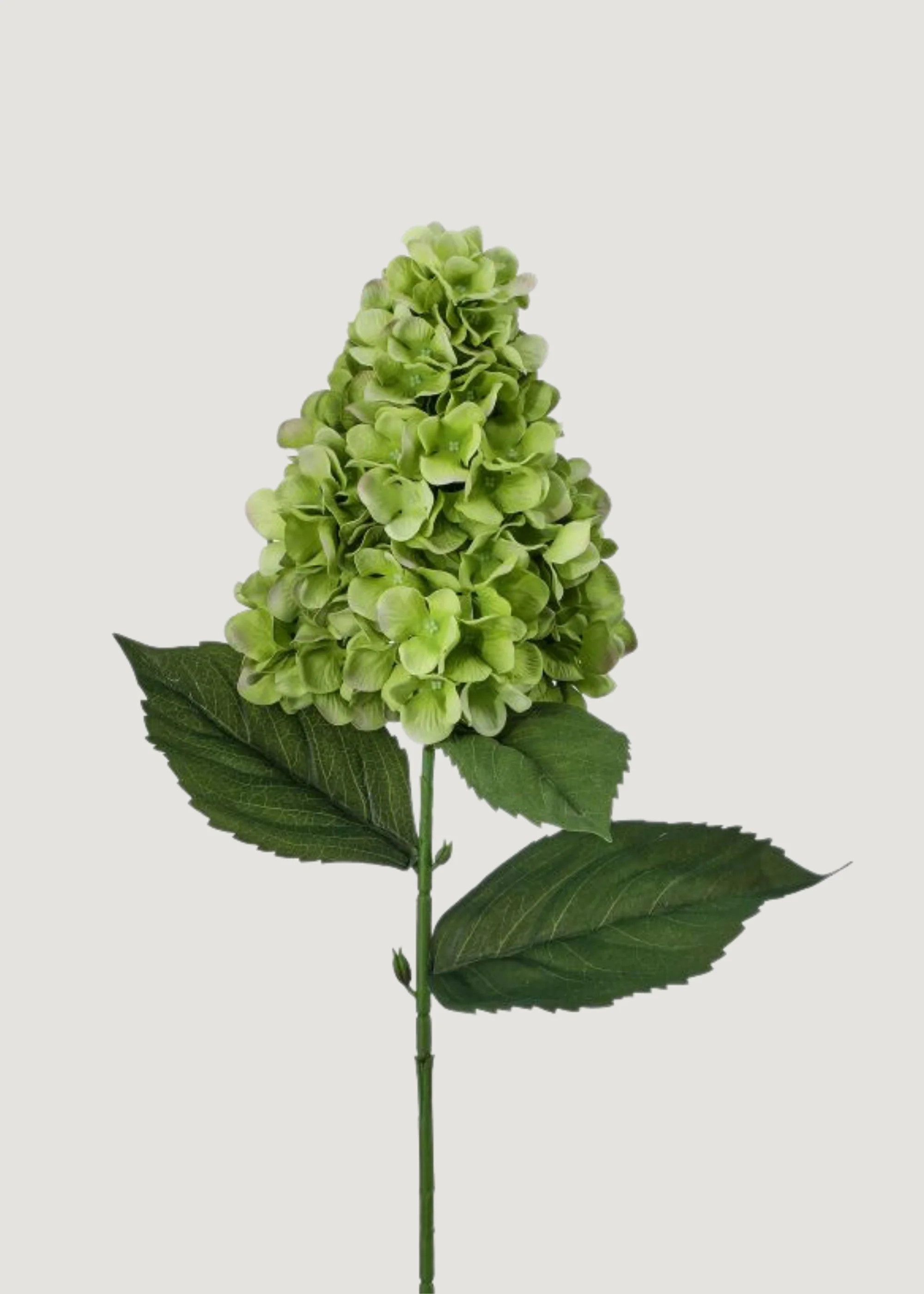 UV Treated Hydrangea in Green | Faux Indoor/Outdoor Flowers | Afloral | Afloral