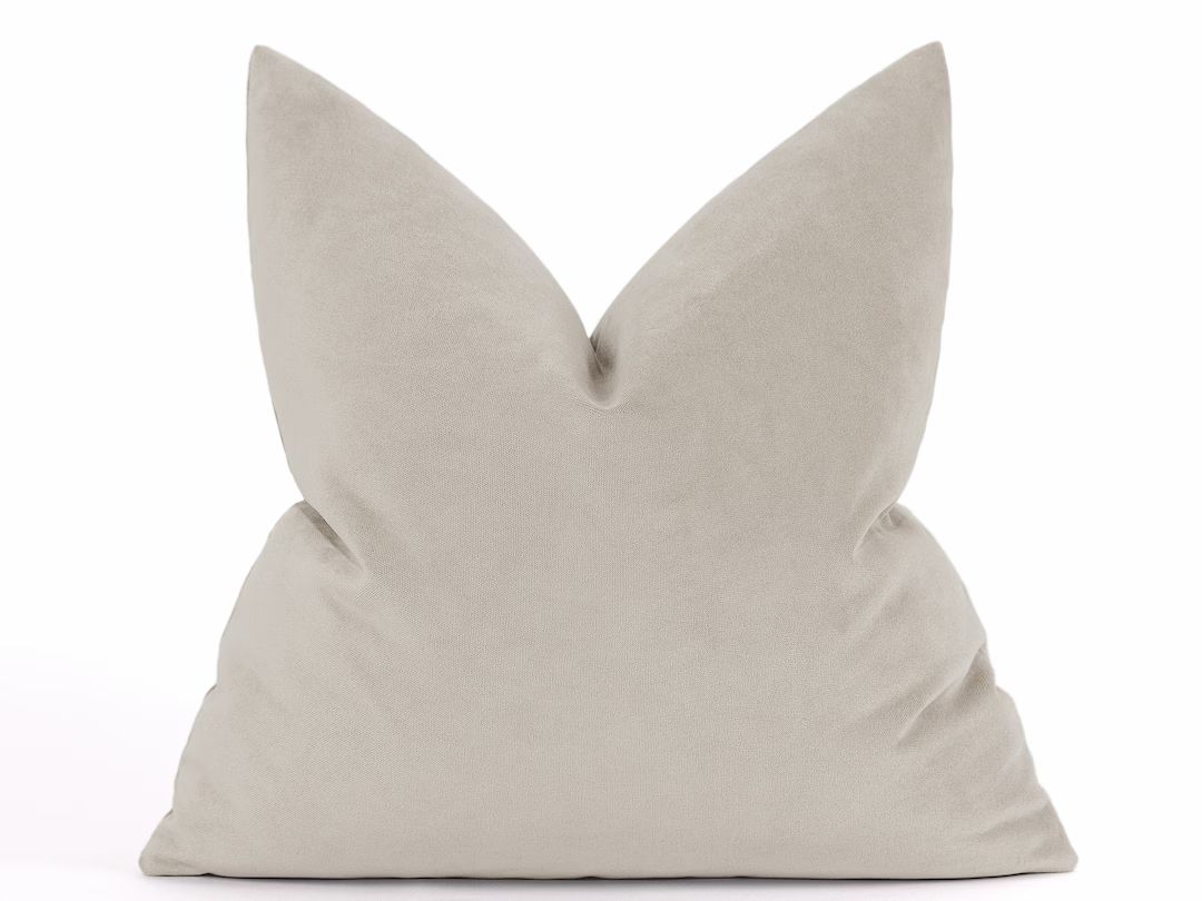 Neutral Velvet Pillow Cover, Cream Beige Throw Pillow, Neutral Euro Sham Cover, Farmhouse Decor, ... | Etsy (US)