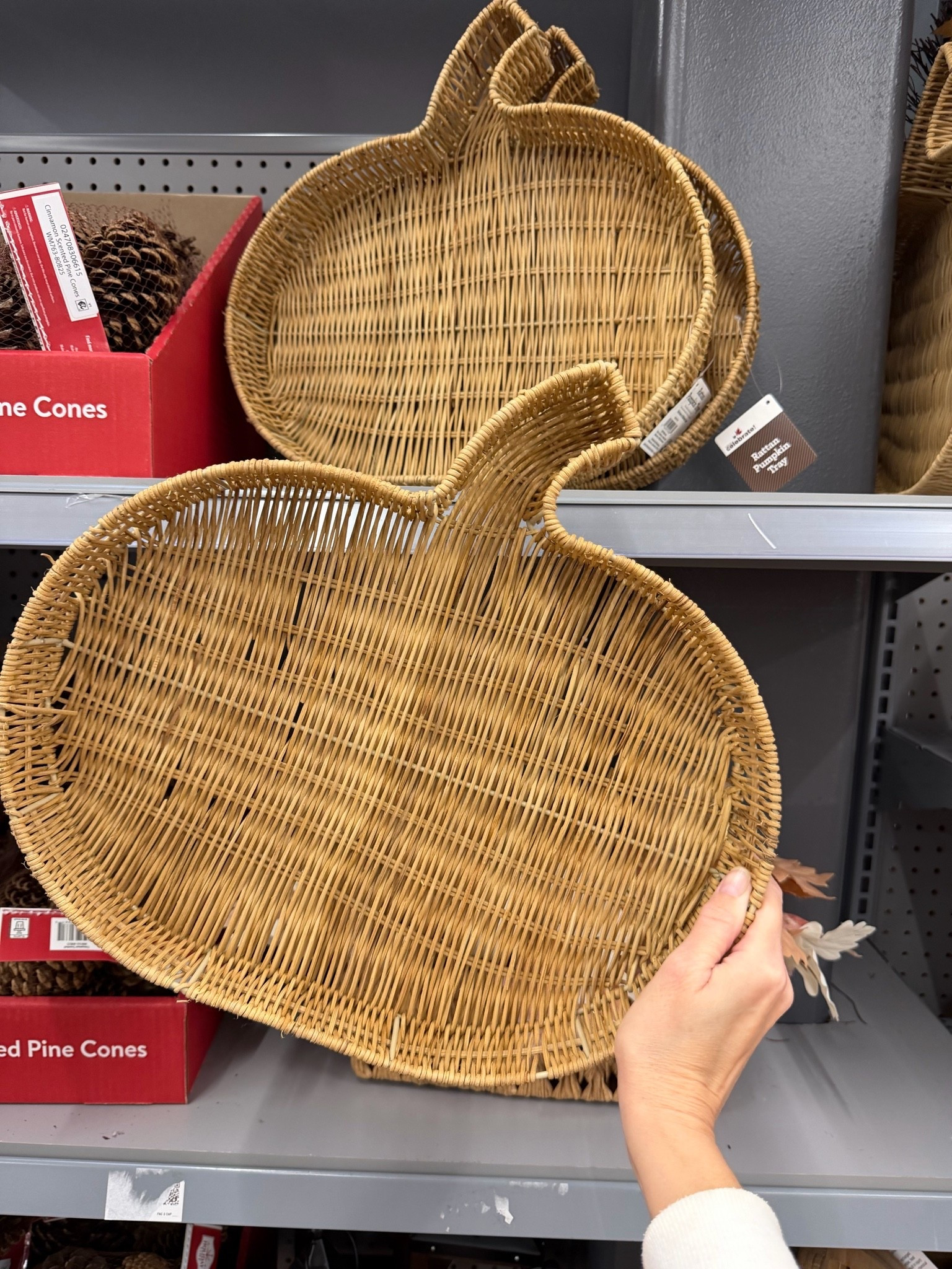 🎃 Okayyy this rattan pumpkin tray is SO GOOD for fall!! 😍 The pumpkin shape + woven texture makes it perfect for everything from a coffee table centerpiece to serving snacks for Thanksgiving. 🍂✨

This is one of those pieces you can pull out year after year—and I have a feeling it won’t stick around once fall decorating really starts! 👀

#LTKFall #FallDecor #PumpkinDecor #FallHome #ThanksgivingDecor #LTKHome

#LTKSeasonal #LTKHome