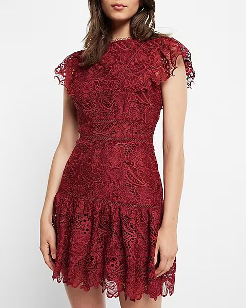 Lace Flutter Sleeve Mini Dress | Express
