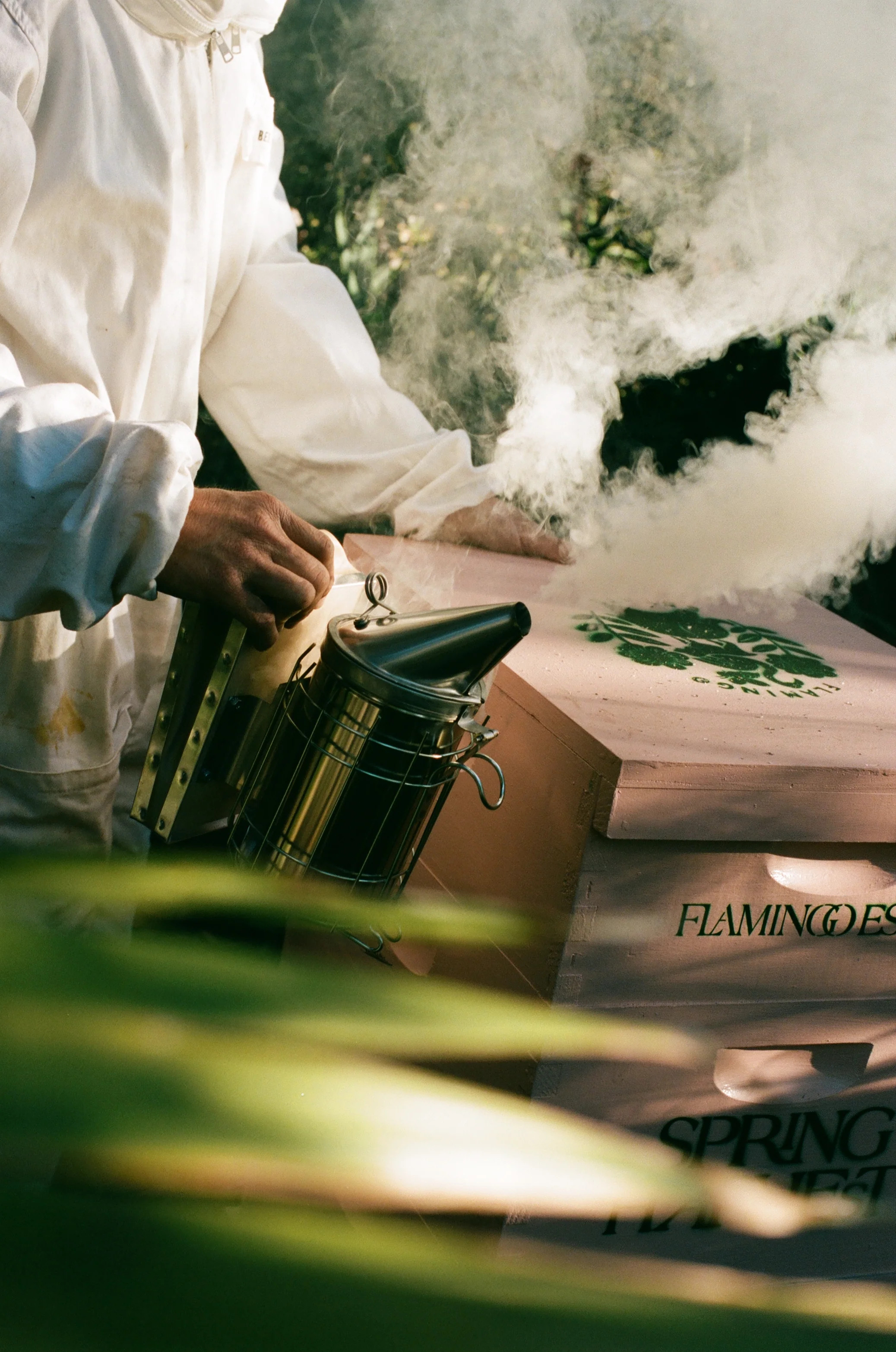 California Wildflower Honey | Flamingo Estate