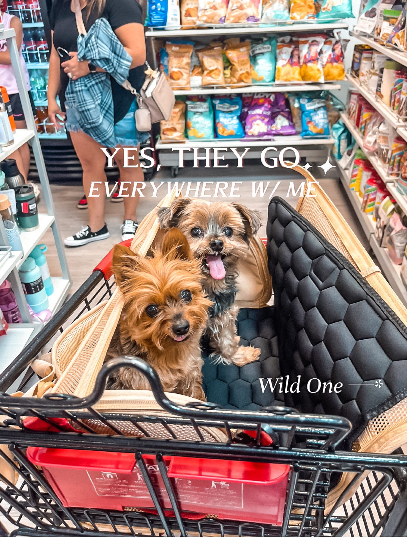Sometimes I want to just run a couple of errands rt after the park. So, instead of taking them 🐶🐶 home to drop them off they come with me. 

- this nude duffle is perfect for bringing them in easily and just setting them rt in the cart

- book bag  expandable pet carrier 
- bag organizer 
- pet essentials 
#wildone #ltkfind #ltkitbag #ltktravel 

#LTKfamily #LTKunder100 #LTKSeasonal