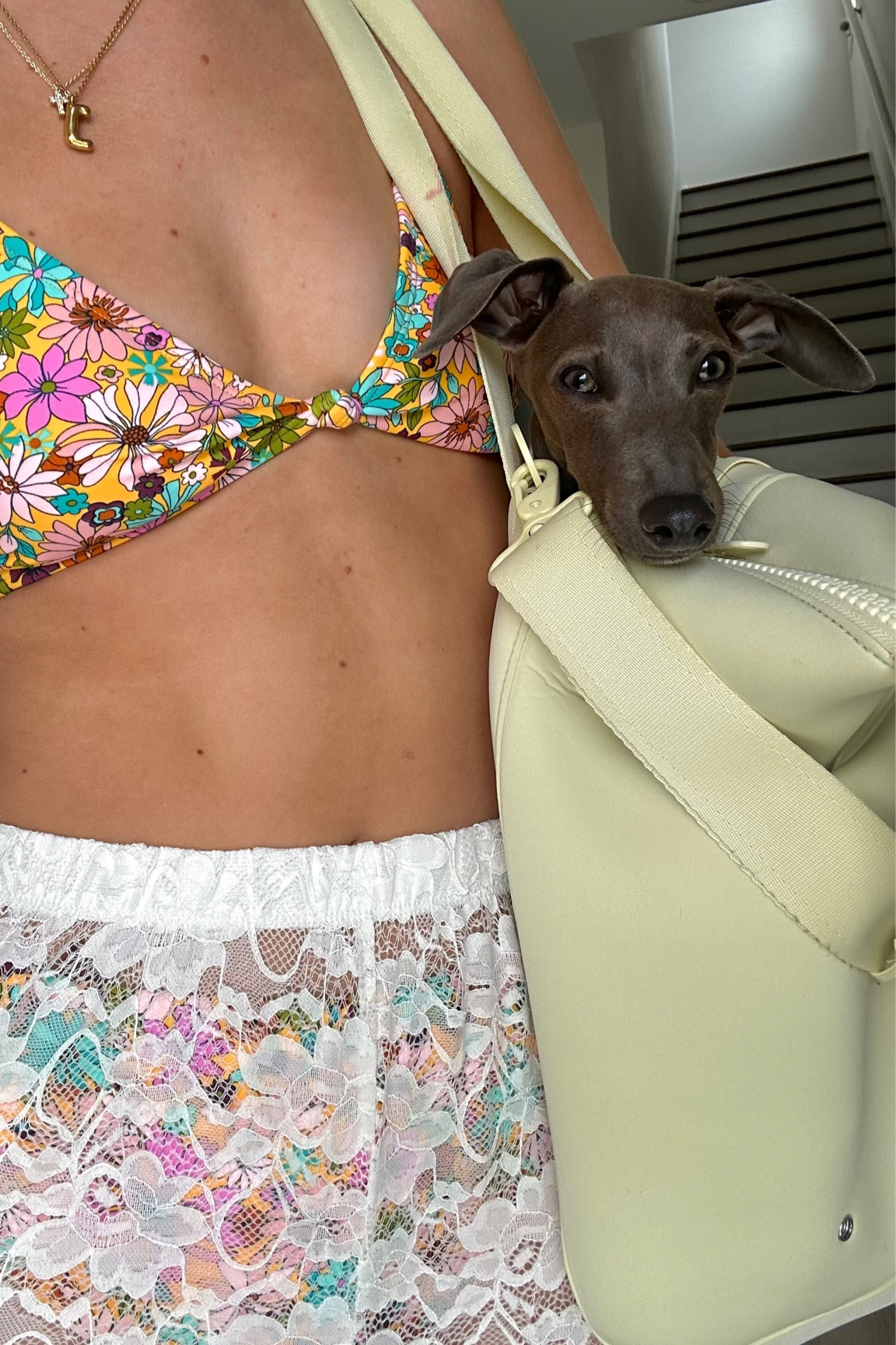 floral bikini pattern swimsuit is older from Windsor & swimsuit cover up pants are from Cotton On 💛👙 #bikini #swimsuit #beach #beachoutfit #vacay #bikinicover

#LTKswim #LTKSeasonal #LTKtravel