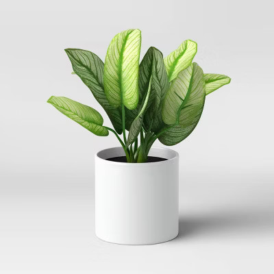 7" x 11" Artificial Variegated Leaf Arrangement - Threshold™ | Target