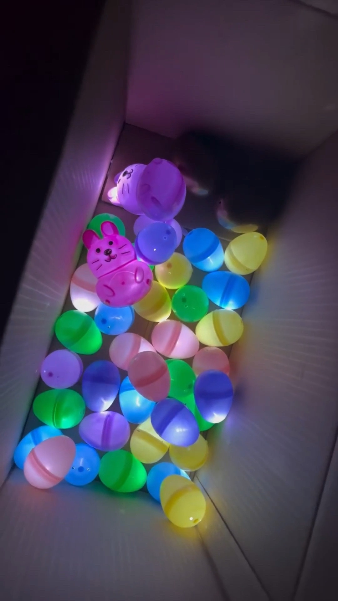 Glow in the dark Easter eggs! #glowinthedark #eastereggs #easterfinds #easteregghunt 

#LTKSeasonal #LTKSpringSale