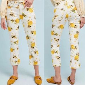 Pilcro and the Letterpress Anthro High-Rise Bootcut White Jeans Lemon Grove 27 | Poshmark