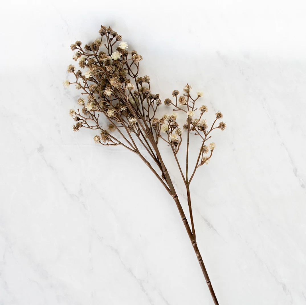 Olive Stem | Elements by Remedy