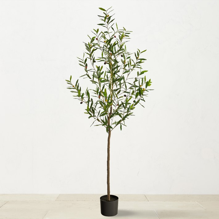 6' Faux Indoor Olive Tree   Only at Williams Sonoma       $249.95 | Williams-Sonoma