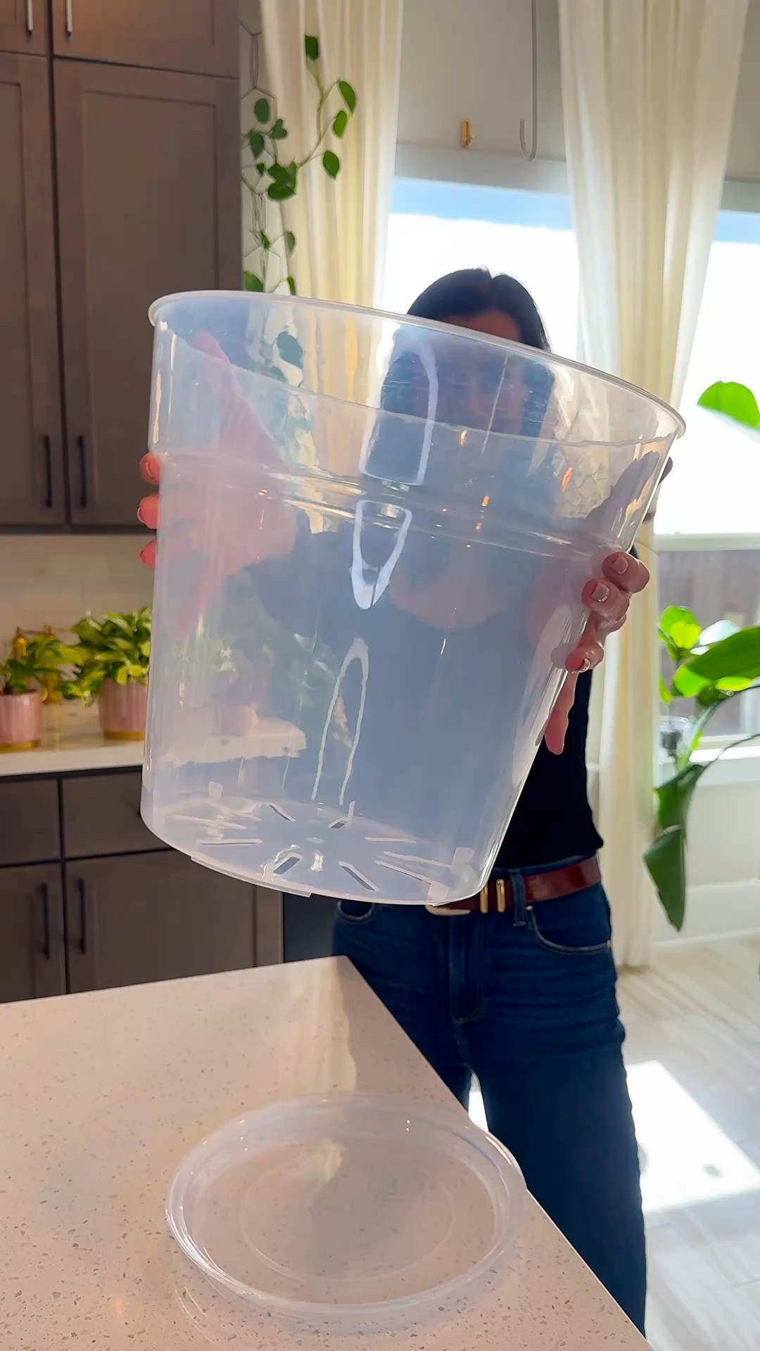 I always get asked where I find large clear nursery pots for my bigger plants — and after searching everywhere, this is the widest one I’ve found at 11.65 inches. They come in a pack of 3 and each pot includes its own tray (which I love).

Clear nursery pots are ideal because you can actually monitor what’s happening below the soil line. You can catch overwatering issues early, see how established the plant is, and know when it’s truly time to size up. It takes the guesswork out of plant care.

They’re especially helpful for monsteras, fiddle leaf figs, rubber trees — any plant where drainage and root health really matter.

#houseplantcare #planttips #indoorgarden #plantmomlife #plantparent

large clear nursery pots | clear pots for monstera | fiddle leaf fig pot size | indoor plant care tips | nursery pots with trays

#LTKHome #LTKOver40 #LTKActive