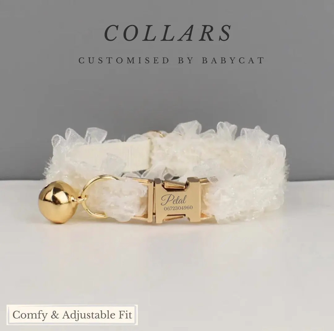 Personalized Velvet Pet Collar Bowtie Set, Engraved Name Tag, Gold Bell - Etsy | Etsy (US)