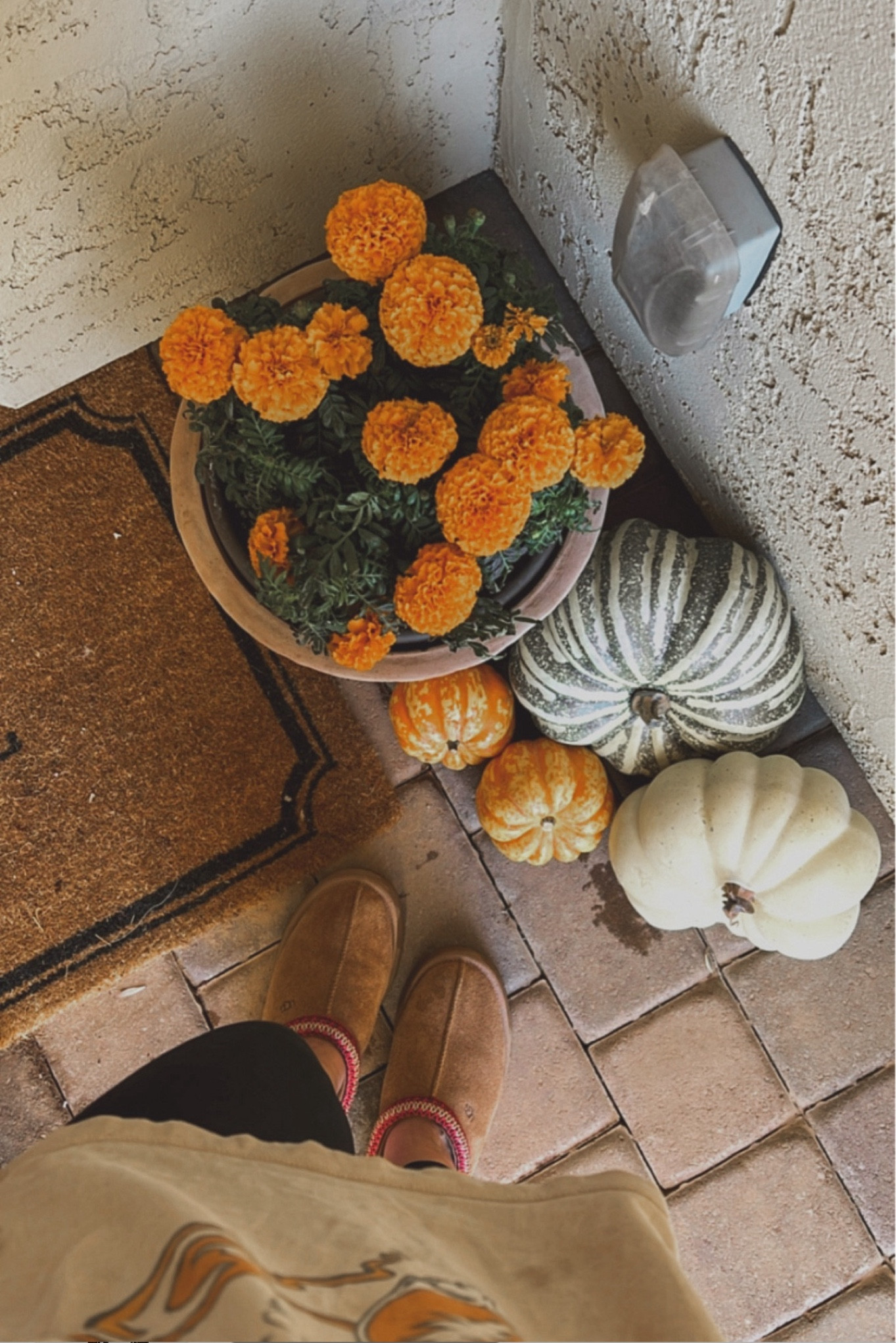 
#frontporch #falldecor #fallfrontporch #falloutdoordecor #outdoordecor #fallplants #planters #pumpkins #outfit #styleideas #outfits #aeshirts #aestyle #americaneaglesale #ugg #uggslippers #uggtasman #tasmanslippers #autumnstyle #uggshoes #trendyshoes #LTKstyletip #LTKhome #uggtazz #uggseason #americaneagle #halloweentees #falltees #fallshirts 

#LTKHome #LTKSeasonal #LTKShoeCrush