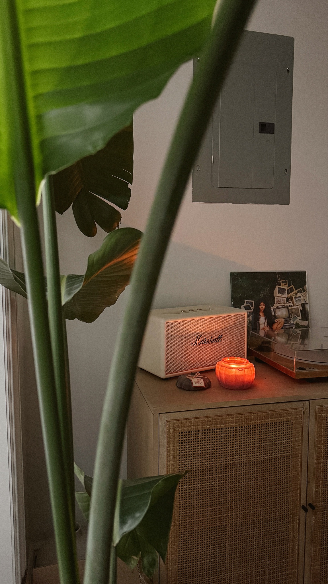 the new target pumpkin candle in warm cider and cinnamon smells like fall in the best way. i’m about to grab like 3 more to hold me over 😭😍

#LTKHome #LTKSeasonal #LTKHalloween