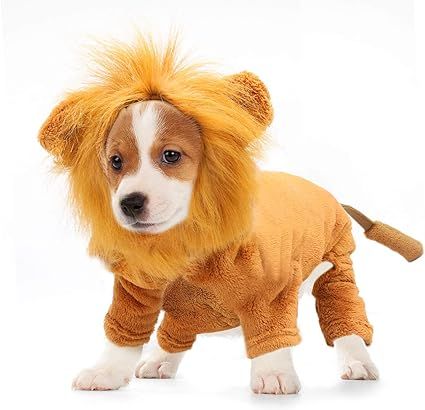 Rypet Dog Lion Costume Pet Clothes for Halloween Party Simulation Lion Pets Outfits Cosplay Dress... | Amazon (US)