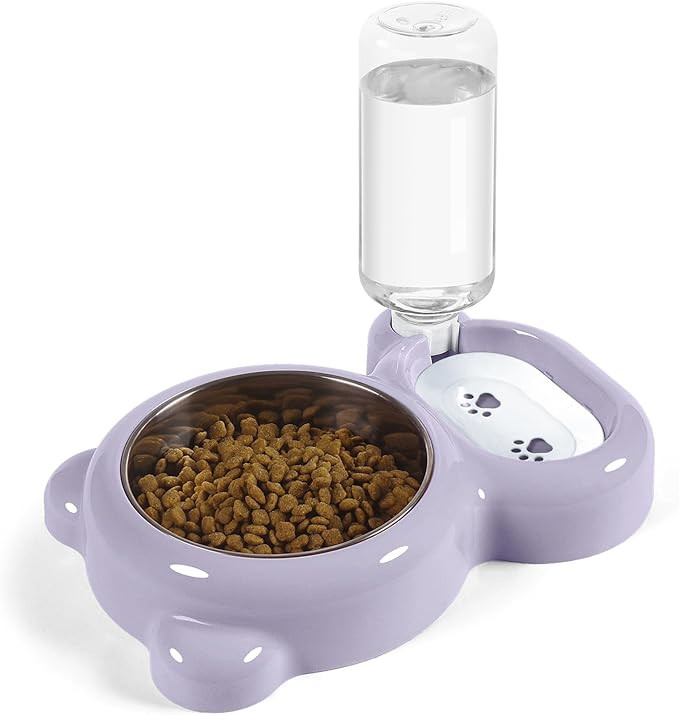 Dog Bowls, Cat Food and Water Bowl Set with Water Dispenser and Stainless Steel Bowl for Cats and... | Amazon (US)