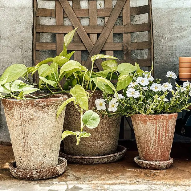 2 Piece Distressed Terra Cotta Planter With Saucer | Antique Farm House