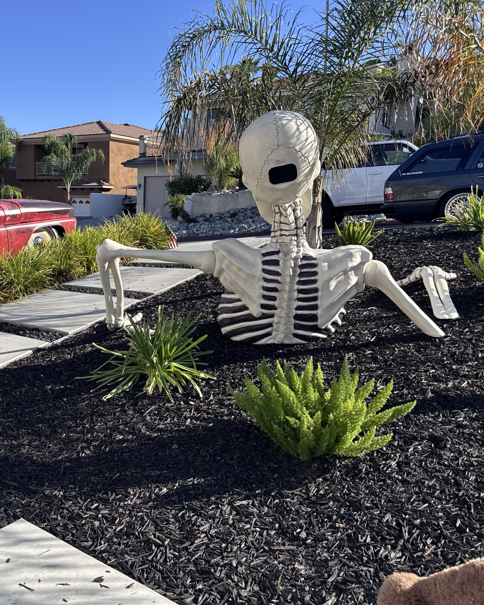 Ground breaking skeleton | Halloween Decorations 

#LTKSeasonal #LTKHome #LTKHalloween
