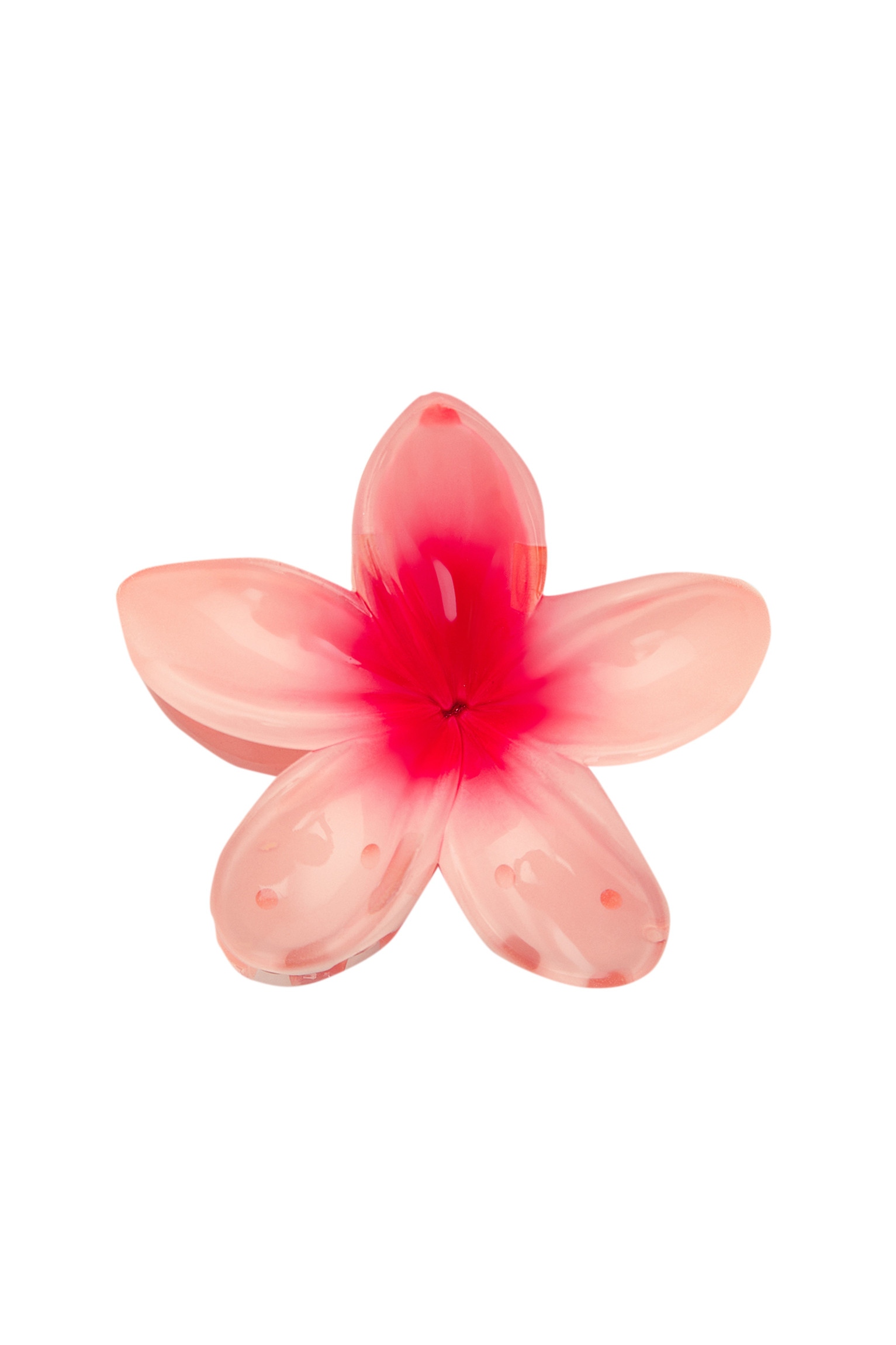 Hibiscus flower hair clip | PULL and BEAR UK