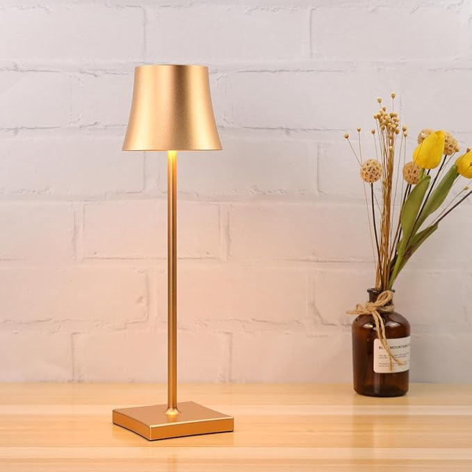 Portable USB Rechargeable Cordless LED Desk Lamp, Metal Retro Table Lamp with Touch Switch, 4W Be... | Amazon (US)