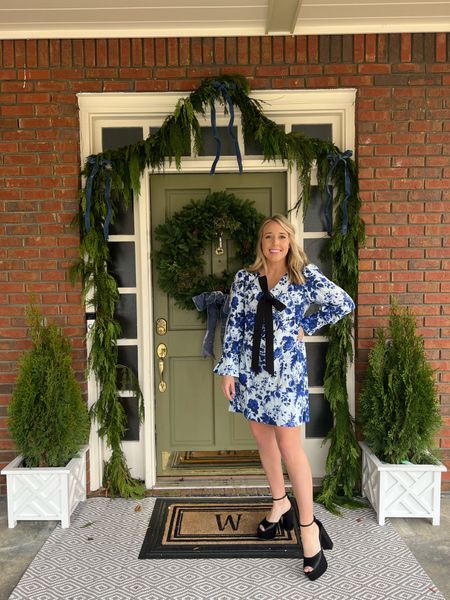 Holiday Outfits and Outdoor Christmas decor! 

Wreath garland cedar swag blue and white holiday dress ribbon chippendale planters front porch entryway decor Christmas trees platform heels black bow hair bow ribbon 

#LTKHoliday #LTKunder50 #LTKshoecrush