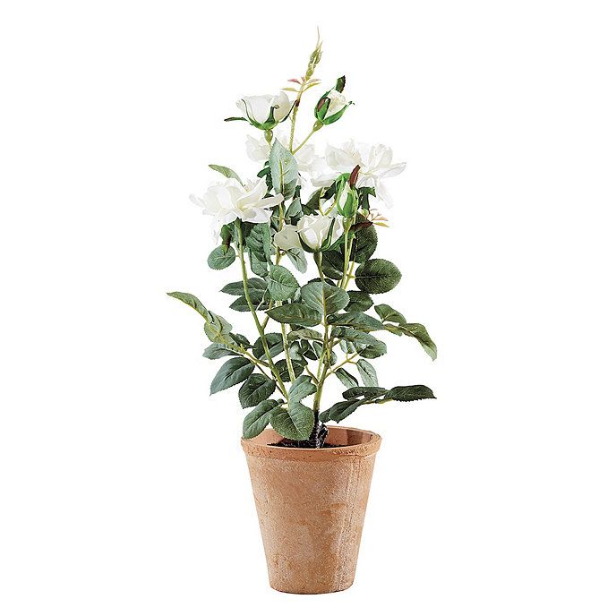 Faux Potted Rose Plant | Ballard Designs, Inc.