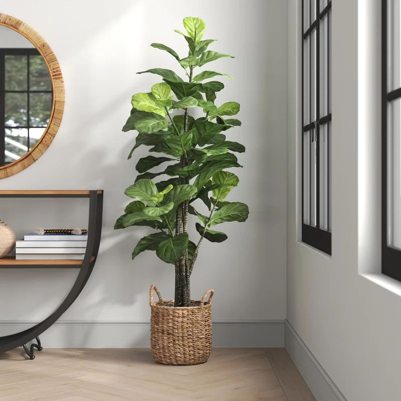 Fiddle Leaf Fig Tree with Basket | Wayfair North America