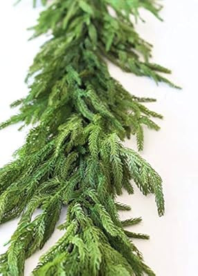 Afloral Real Touch Norfolk Pine Garland - 60" | Amazon (US)