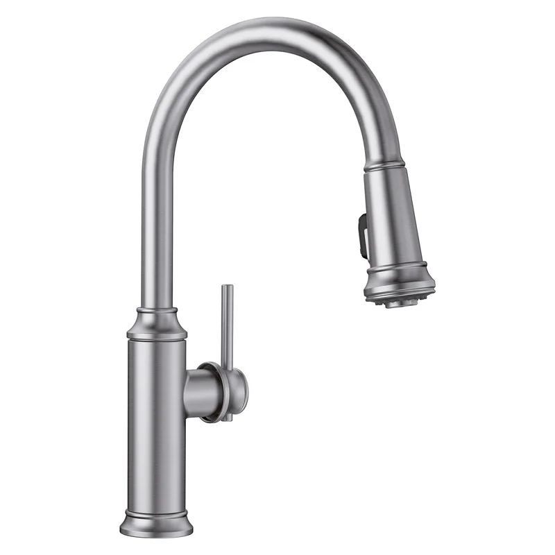 Empressa Pull Down Single Handle Kitchen Faucet With Accessories | Wayfair Professional