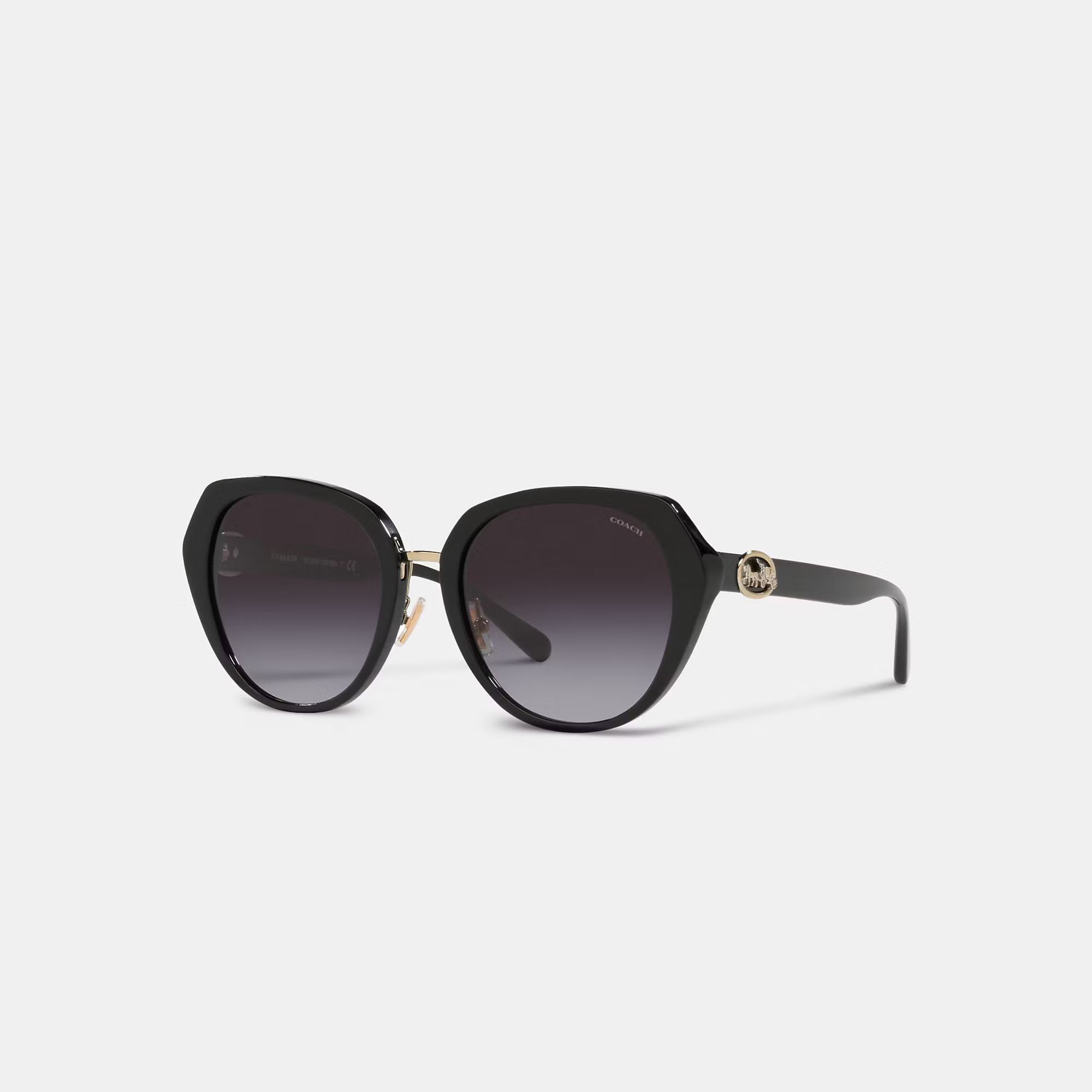 Horse And Carriage Oversized Round Sunglasses | Coach (US)