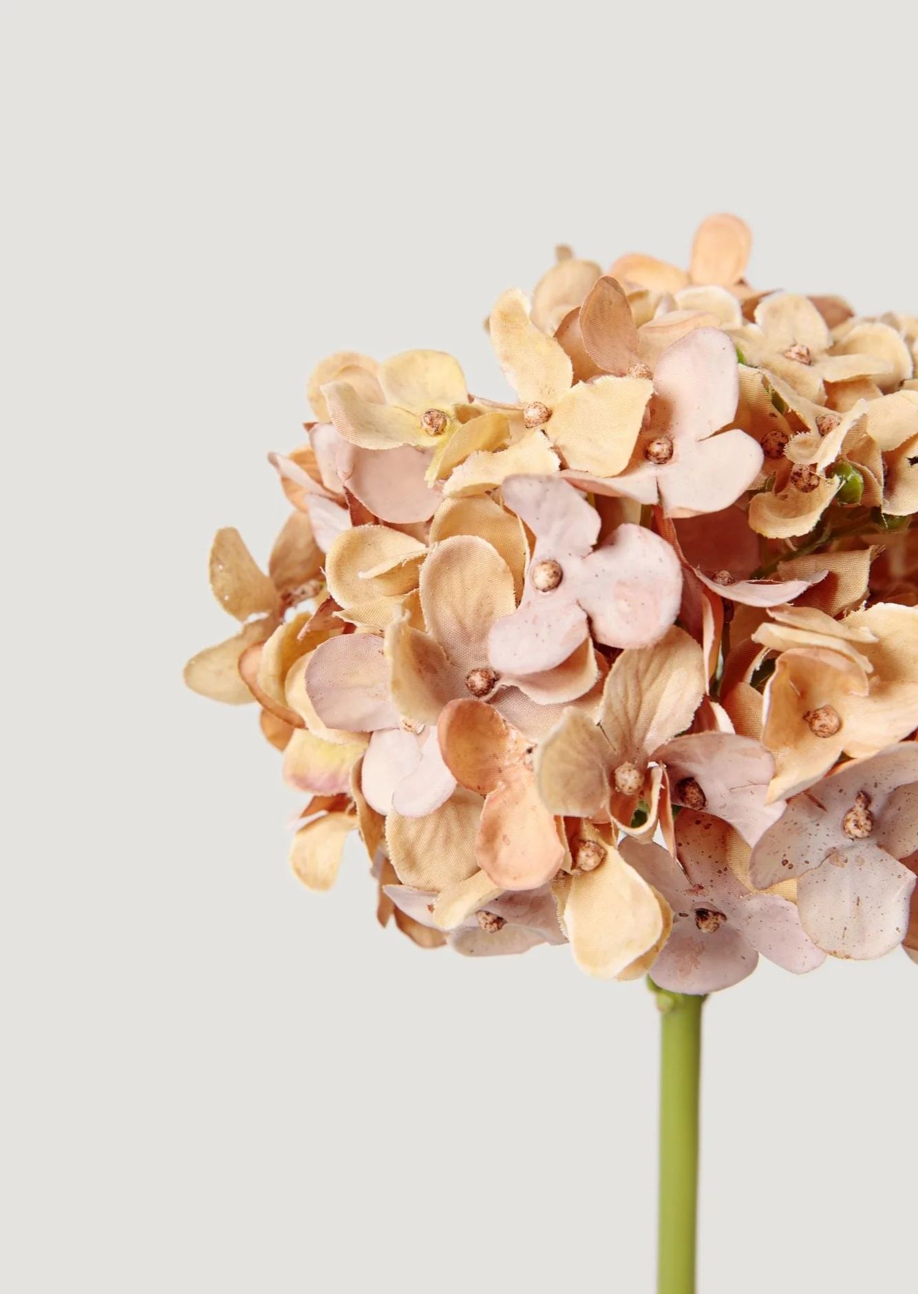 Fake Dried Look Hydrangea in Rosy Taupe - 18" | Afloral