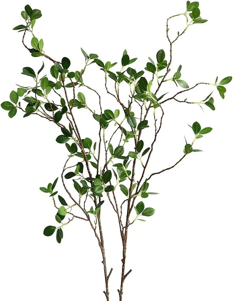 Xilyya 2PCS Artificial Eucalyptus Stems Faux Greenery for Tall Vase Wedding Bouquets DIY Home Flo... | Amazon (CA)