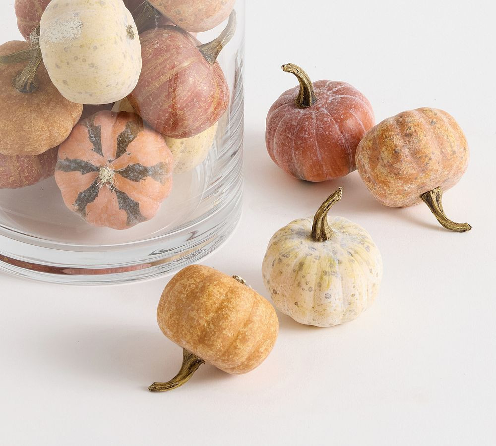 Faux Mini Pumpkin Vase Filler | Pottery Barn (US)