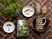 Gardenista | Jayson Home