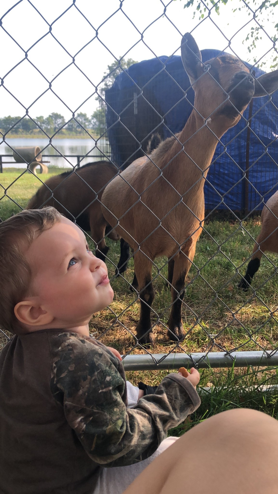 Kids cowboy boots, camo, fishing, outdoor fun

#LTKGiftGuide #LTKKids #LTKBaby