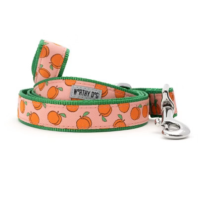 The Worthy Dog Peachy Keen Dog Leash - Peach - L | Target