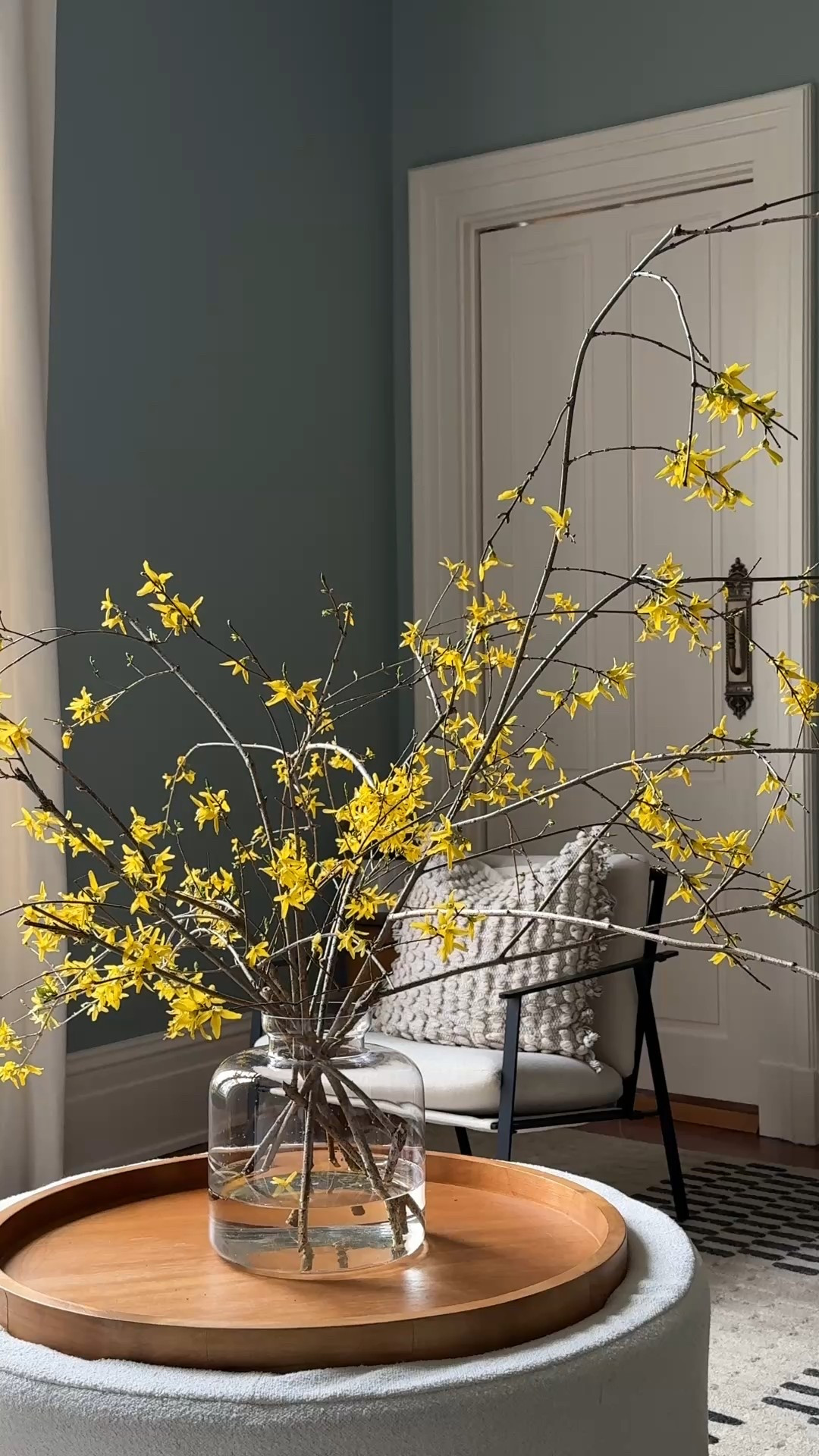 Why is Rob like this 😂 anyway here’s the vase and other stuff from the video- it’s actually a terrarium but I like to use it as an oversized floral vase!

#LTKFindsUnder50 #LTKOver40 #LTKFindsUnder100