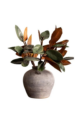 Magnolia Faux Leaves | luxe bCO