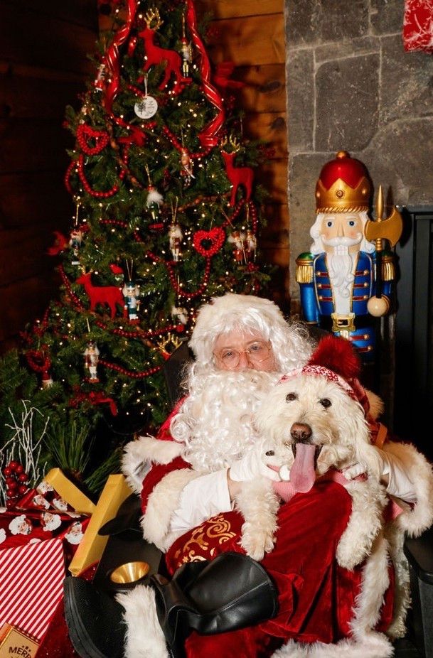 HAPPY PAWLIDAYS 🐾!! 
Seasons greetings from CHARLIE GIRL! Check out what on her doggie wish list! #giftguidedog #giftguide #dogs # #christmasdecor 

#LTKHoliday #LTKSeasonal #LTKGiftGuide